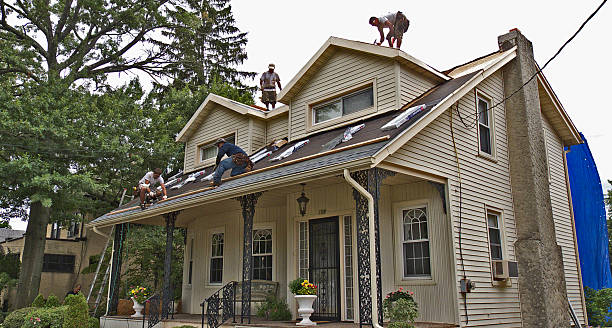 Best Roof Maintenance Services  in Choccolocco, AL